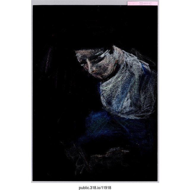 一個黑箱裡有太陽花繪畫  (共2張)