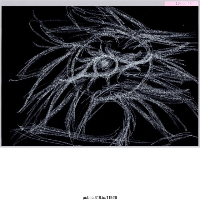 一朵花心有一隻眼睛的太陽花繪畫  (共1張)