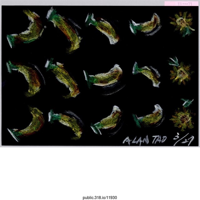 香蕉和太陽花繪畫  (共1張)