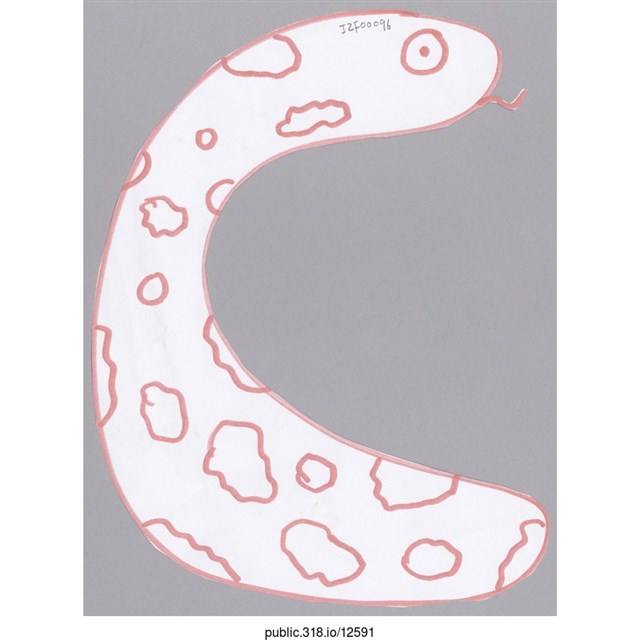 「C」繪畫  (共1張)