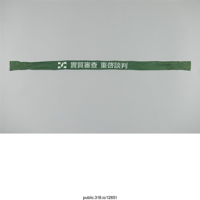 「實質審查　」布條  (共1張)