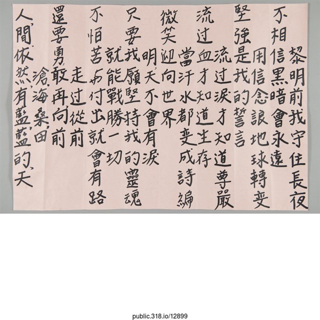 「黎明前我守住長夜」海報  (共1張)