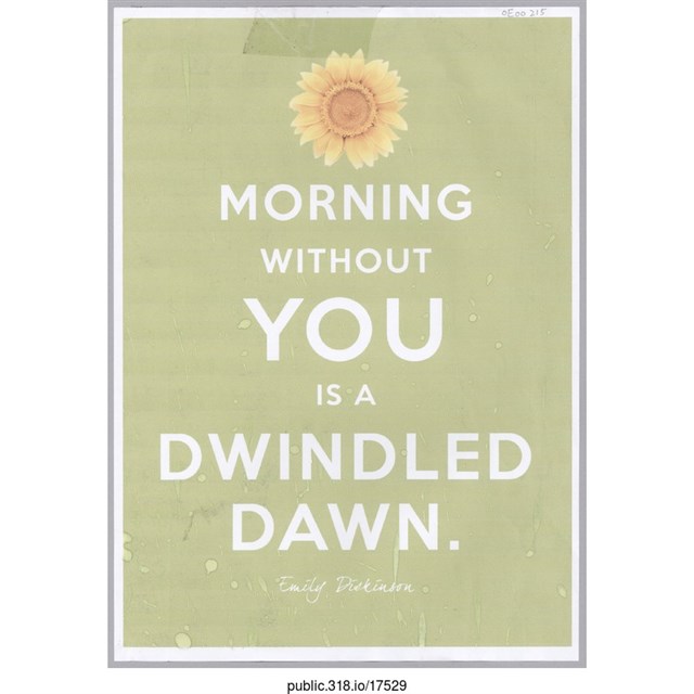 外語標語  (共1張)