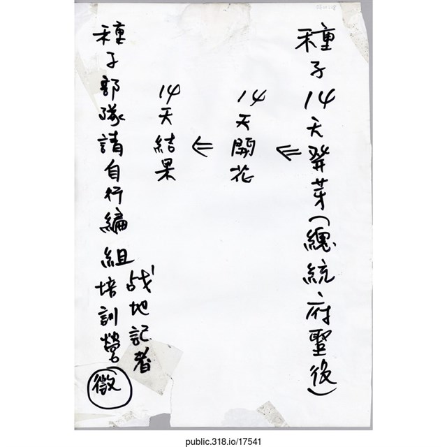 「種子14天發芽」文件  (共1張)