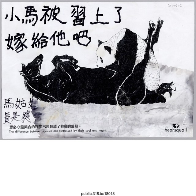 「小馬被習上了」繪畫  (共1張)