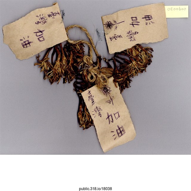 「台灣加油」裝飾  (共1張)