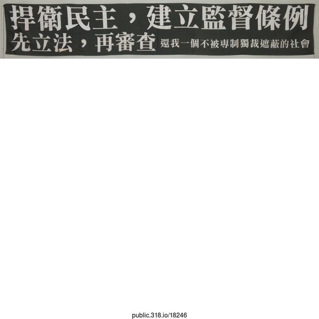 「捍衛民主」布條  (共1張)