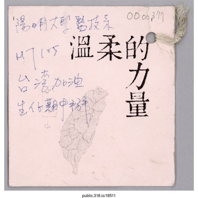 「陽明大學醫技系」卡片  (共2張)