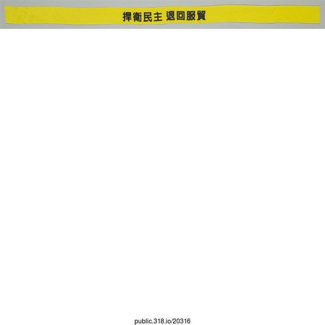 「捍衛民主」布條  (共1張)