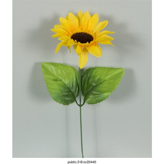 太陽花塑膠裝飾 (共1張)