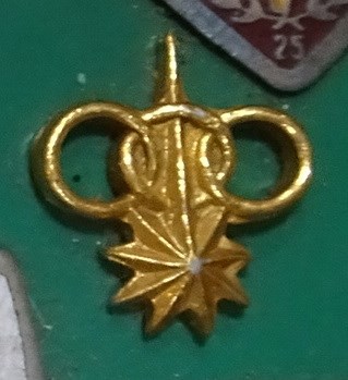 金色三環星芒形紀念徽章 (共7張)