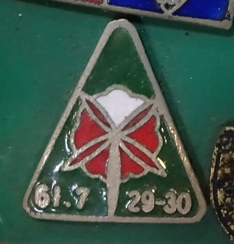 三角形綠色徽章 (共4張)