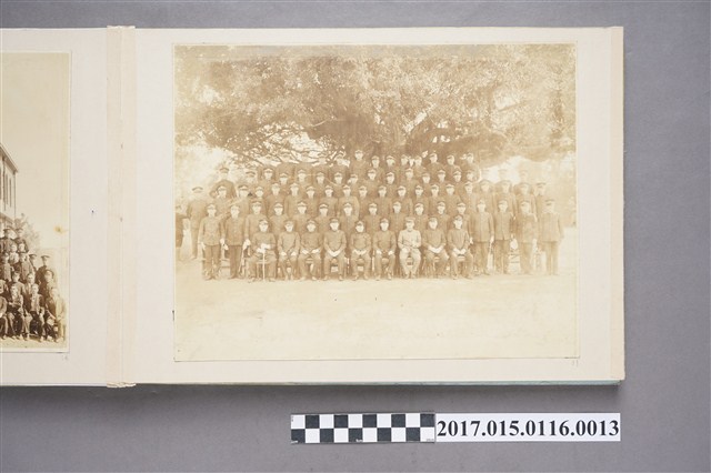 警察樹下合影 (共1張)