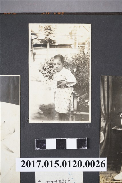 在樹叢邊身著和服的小男孩照片 (共2張)