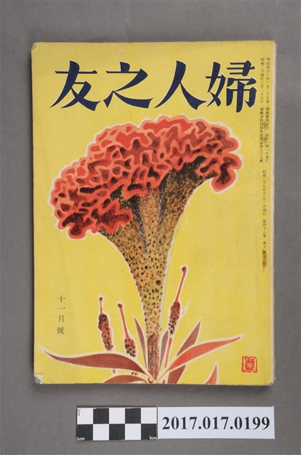 昭和29年11月1日婦人之友社發行《婦人之友》第48卷第11號 (共7張)