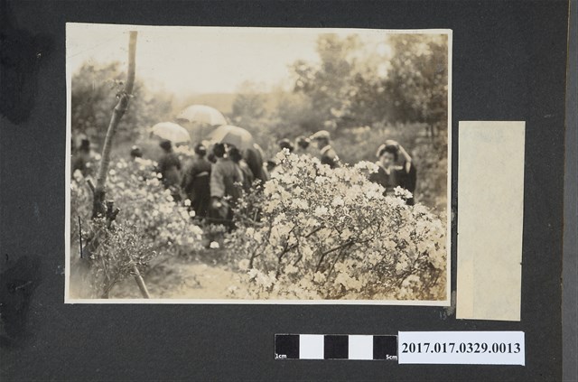 群聚婦女與花 (共3張)