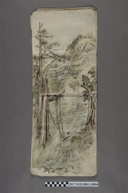 古城江觀繪《臺灣山林景色之樹木》 (共3張)