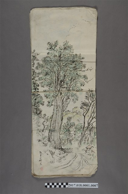 古城江觀繪《臺灣山林景色之樹木》 (共3張)