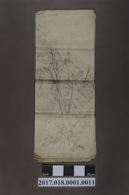 古城江觀繪《臺灣樹木風景》 (共3張)