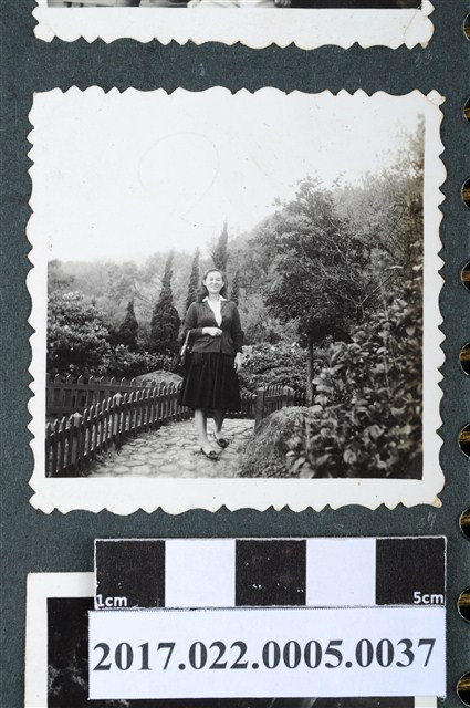 謝嫦娥攝於陽明山公園 (共2張)