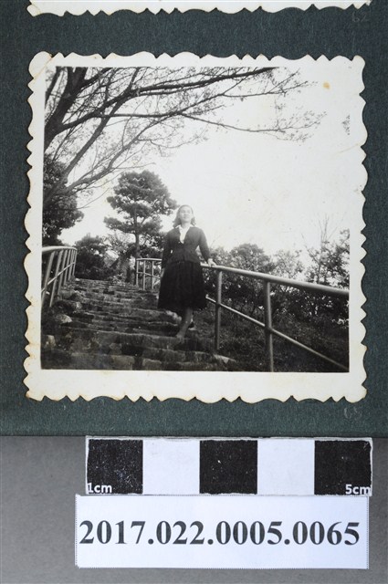 謝嫦娥攝於陽明山公園 (共2張)