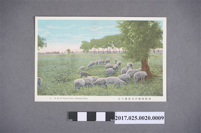 公主嶺農事試驗場牧場 (共4張)