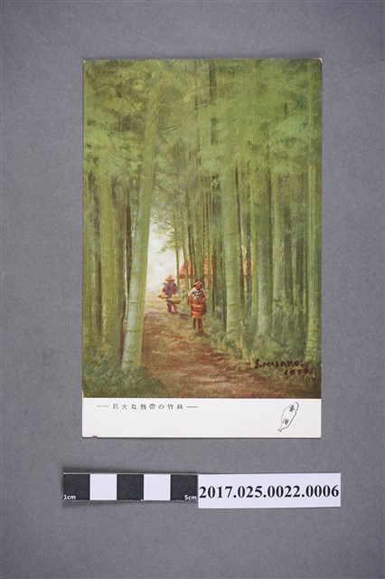 巨大熱帶竹林 (共2張)