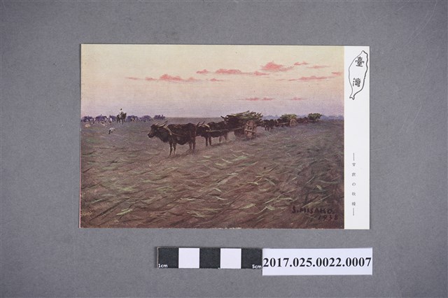 甘蔗收穫 (共2張)