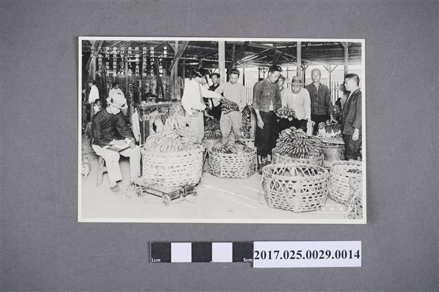 臺灣所見之臺中香蕉市場 (共2張)