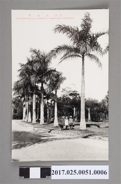 臺北市之植物園黑白 (共2張)