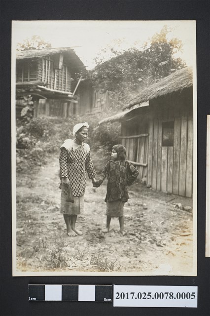 屈尺蕃（臺灣） (共2張)