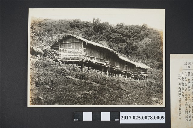 原住民的穀倉（臺灣） (共2張)