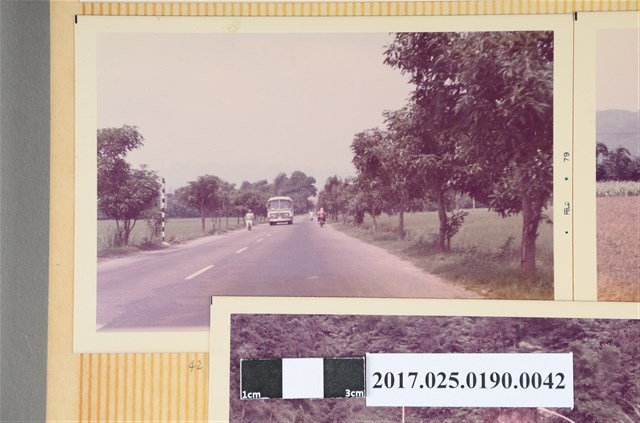 道路一景 (共4張)