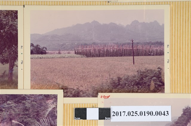 山下田邊風景 (共4張)