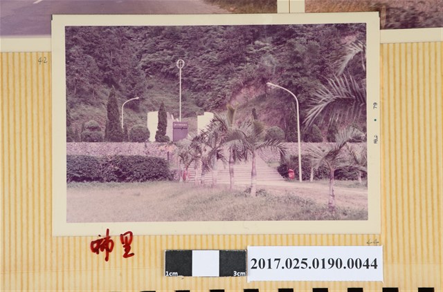 埔里路邊一景 (共4張)