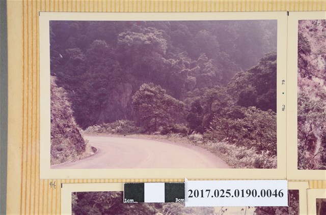 山林公路一景 (共4張)