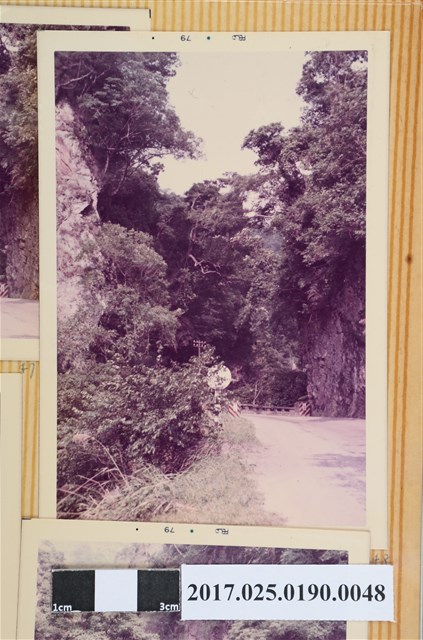 山林公路一景 (共4張)