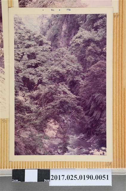 山中峽谷一景 (共4張)