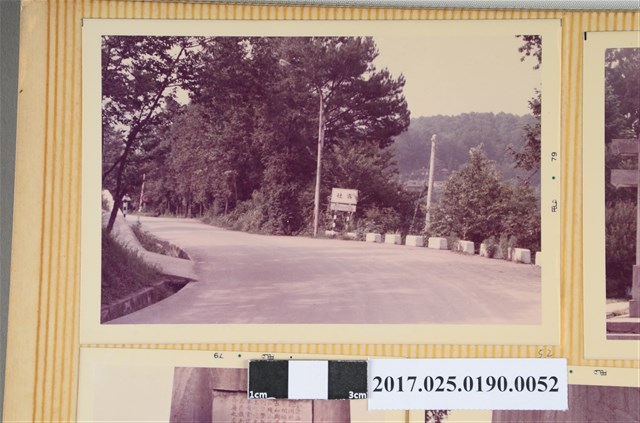 往霧社公路一景 (共4張)