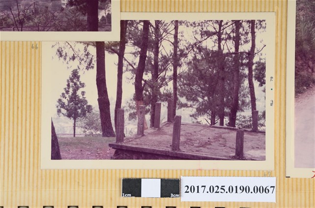 林間一景 (共4張)