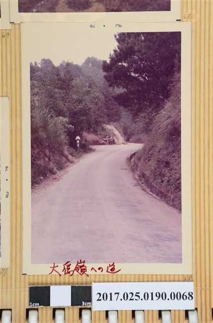 往大禹嶺道路一景 (共4張)