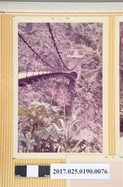 吊橋一景 (共4張)