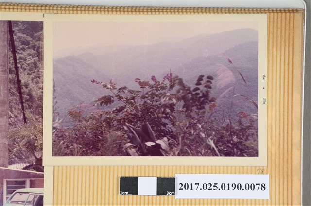 山巒風景照 (共4張)