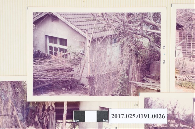 霧社分室宿舍一隅 (共4張)