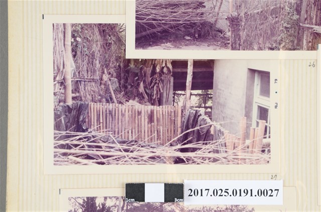 屋外角落一隅 (共4張)