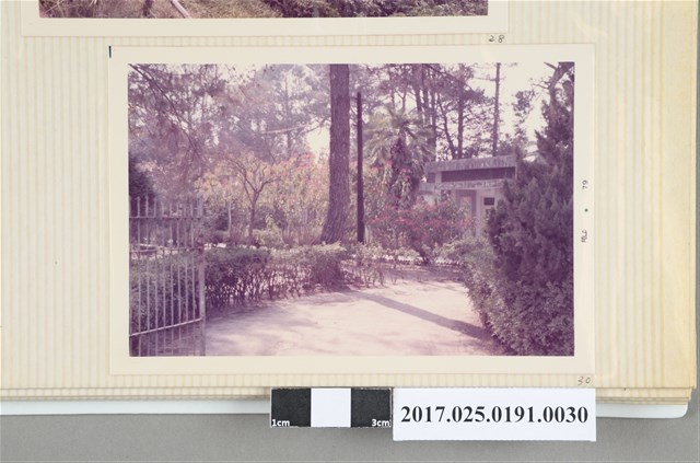 庭園一隅 (共4張)