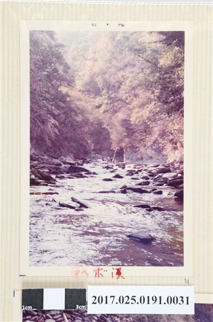 馬赫坡溪 (共4張)