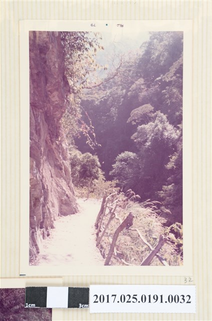 山邊小路 (共4張)