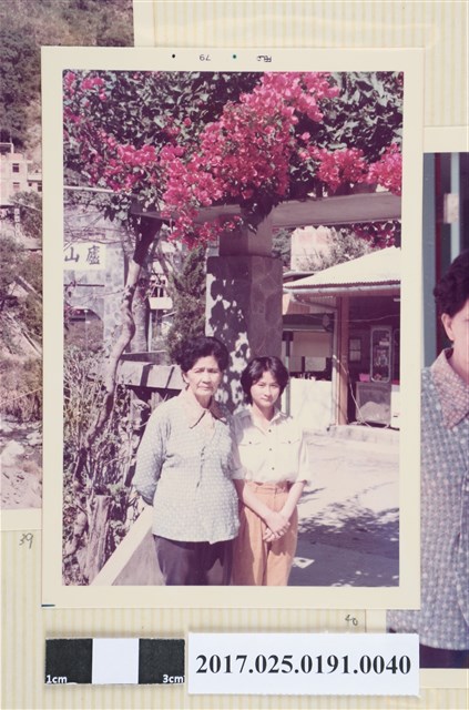 2名女子於九重葛下合影 (共4張)