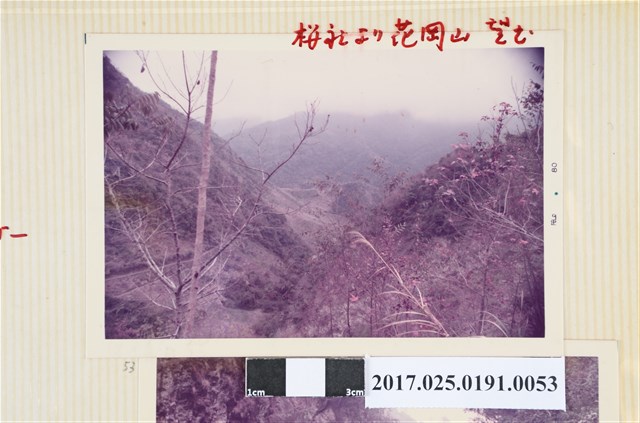 櫻社花崗山一景 (共4張)